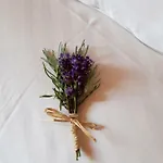 Apartma Anton * Bled