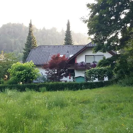 Apartma Anton * Bled
