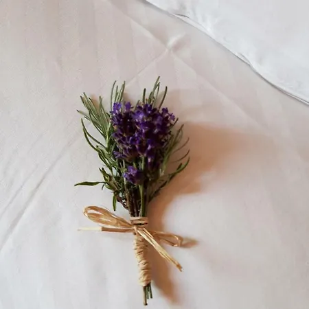 Apartma Anton * Bled