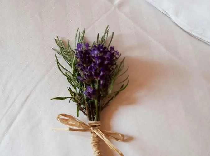 Apartma Anton * Μπλεντ